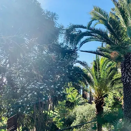 Appartamento Le Port Tamaris La Seyne-sur-Mer Esterno foto