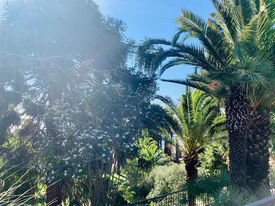 Apartamento Le Port Tamaris *